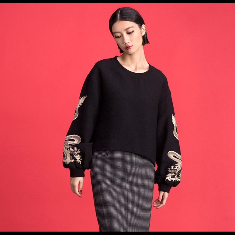 Dragon Embroidered Balloon Sleeve Blouse